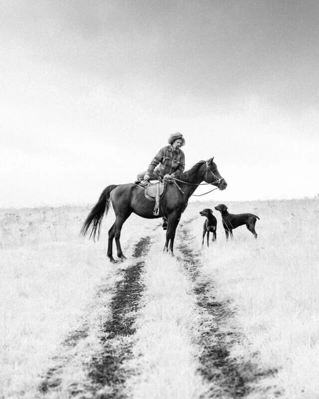 Link to Range Rider