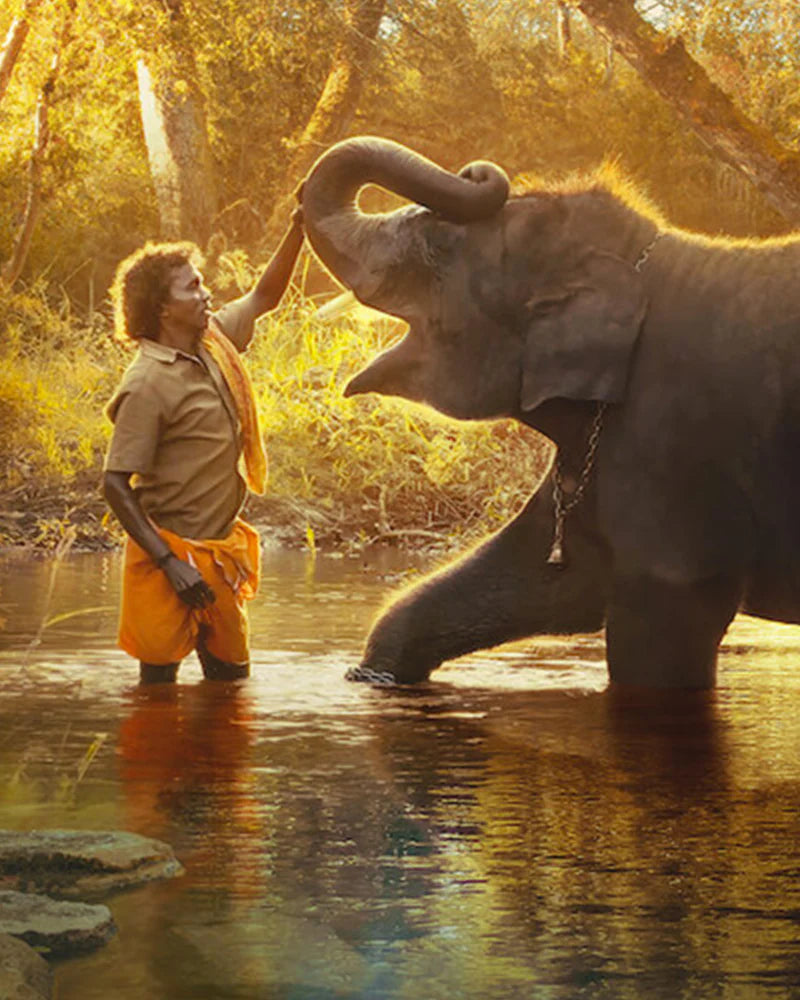 Link to The Elephant Whisperers